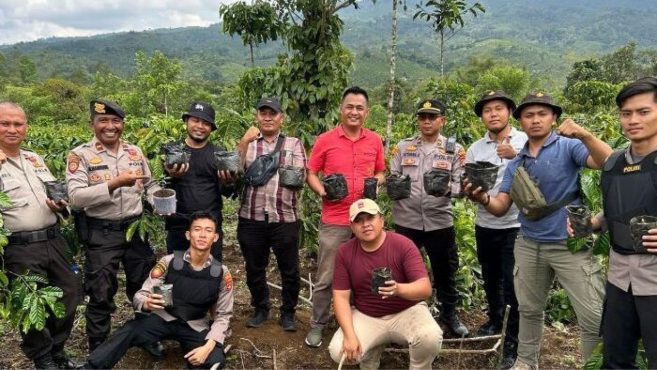 Ladang Ganja di Wilayah Sumsel Ini, Diungkap Personel Polres Lampung Barat