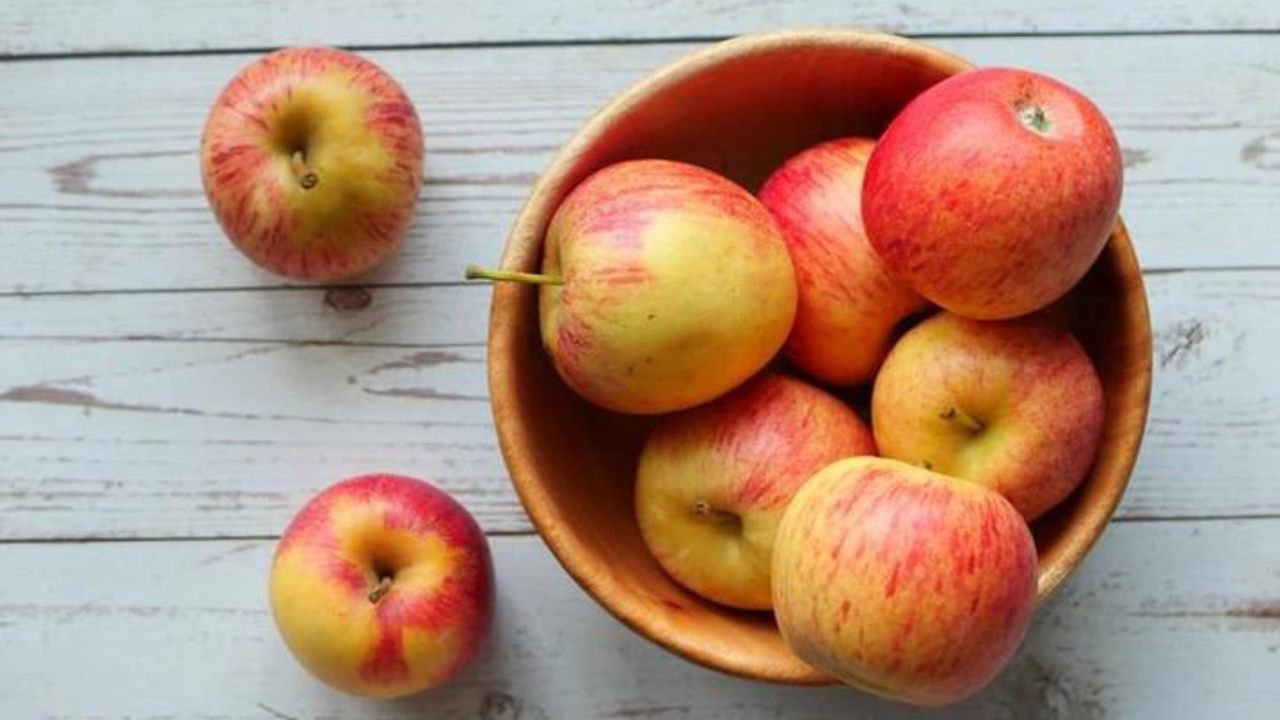 Makanan Untuk Mencegah Pikun: Buah-buahan yang Meningkatkan Daya Ingat
