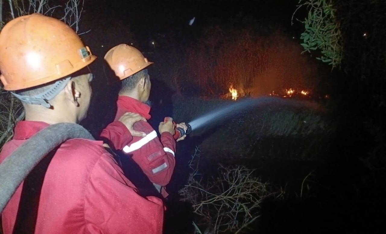 BPBD Sumsel Imbau Warga Tak Bakar Lahan Jelang Kemarau Kering 2025