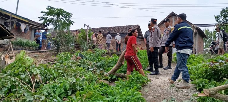 Pria di OKU Meninggal Tersengat Listrik Saat Potong Ranting Jengkol