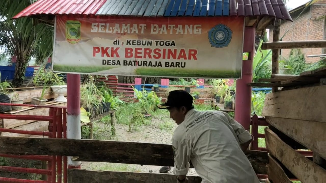 Desa Baturaja Baru Kini Sudah Ada Taman Toga