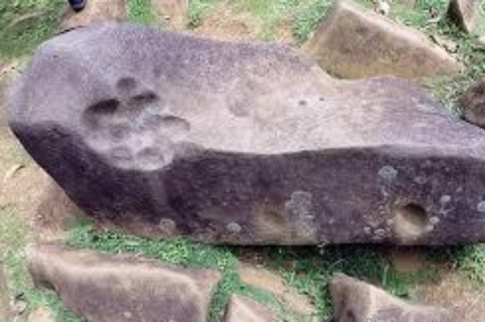 Batu Tapak Maung atau Tapak Harimau Simbol Cakar Raja Hutan yang Legendaris, Ditemukan di Situs Gunung Padang