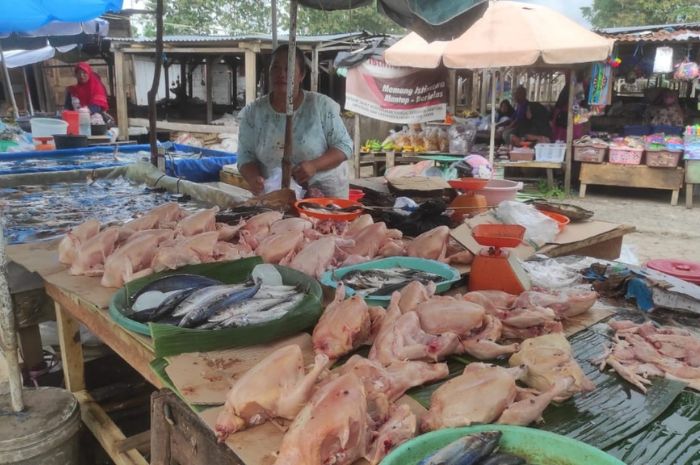 Jelang Idul Adha Harga Ayam Potong Merangkak Naik