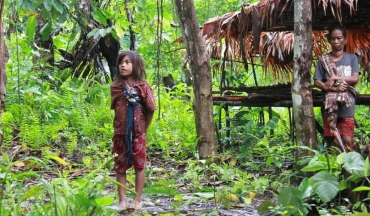 Misteri Pembunuhan Berantai di Hutan Halmahera Perjalanan Ke Dalam Dunia Suku Togutil 