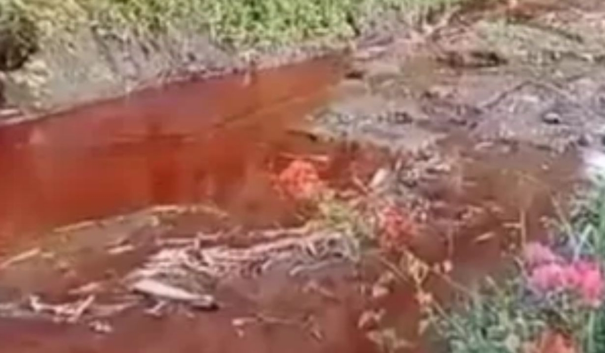 Penyebab Sungai di Malang Berwarna Merah Darah? Masih Misterius!