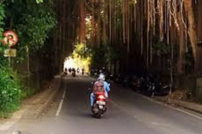 Lokasi Terkenal Angker di Ubud Gianyar Bali, Kisah Pertemuan Misterius dengan Arwah di Jalan Raya Tjampuhan