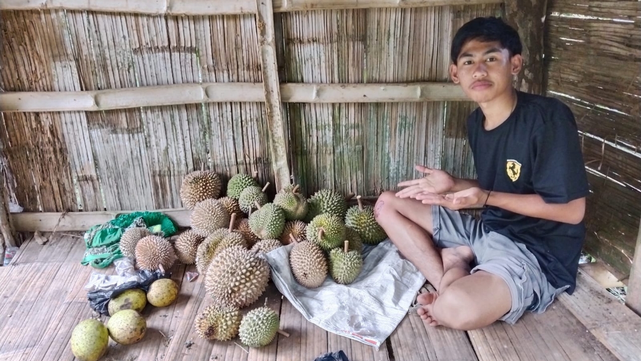Kampung Bupati Banjir Durian, Pemuda Dusun Sawah lakukan ini