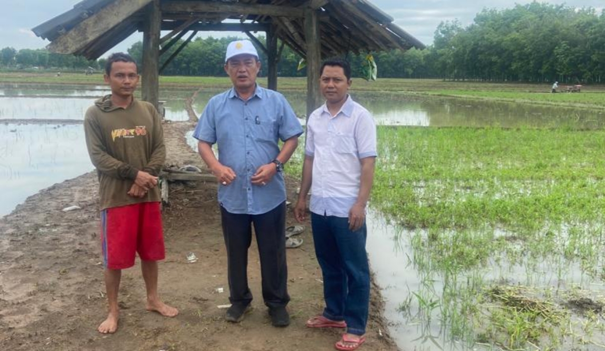 Ketersediaan Pupuk Melimpah Hingga Januari 2024