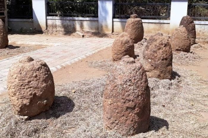 Batu Kenong, Misteri dan Sejarah di Balik Batu Megalitikum di Bondowoso