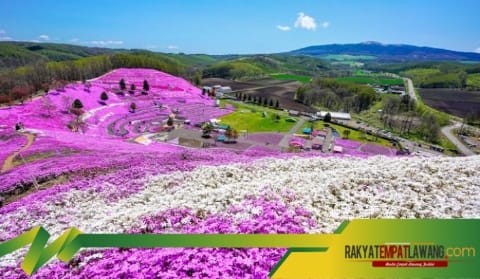 Keajaiban Alam di Hokkaido Jepang, Dari Salju hingga Keindahan Musim Semi