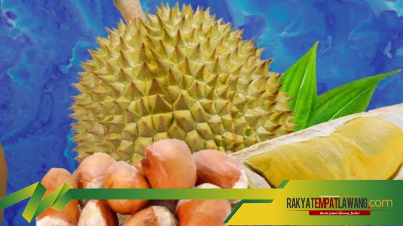 Manfaatkan Musim Durian, Bijinya Bisa Mengurangi Risiko Penyakit Jantung