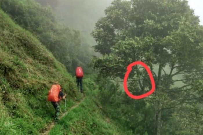 Mengintip Ke Dunia Mistis: Dika, Sang Pendaki yang Bertemu Putri dari Kerajaan Bunian di Jawa Barat