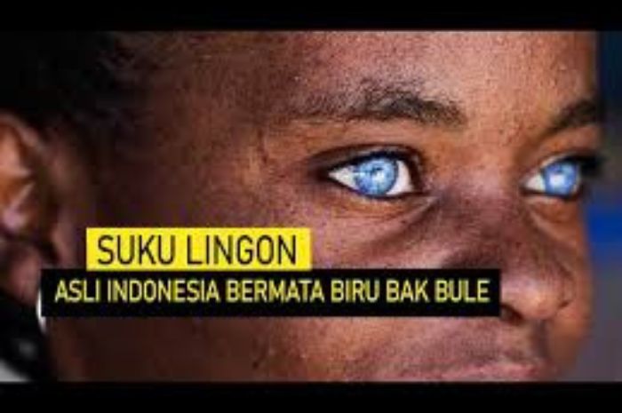 Asal-Usulnya Dari Genetika atau Mistis? Sejarah Si Mata Biru Suku Lingon