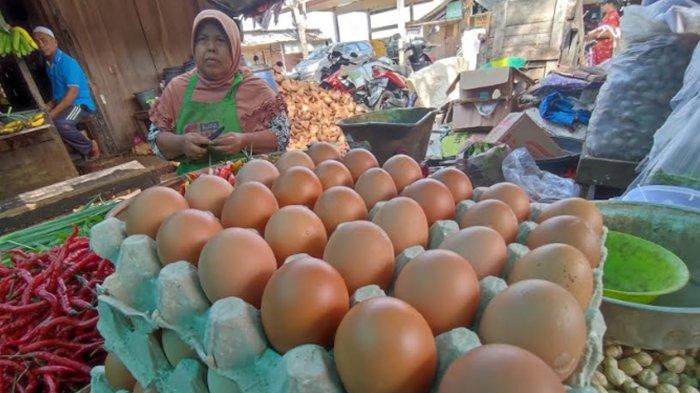 Produksi Telur Ayam di Palembang Terganggu Akibat Cuaca Ekstrem