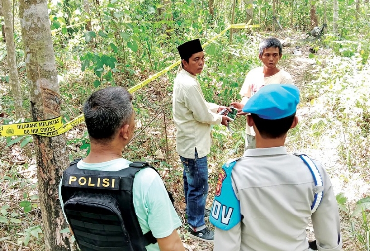 Tragedi Serangan Gajah Liar, Ibu Hamil Ditemukan Tewas di Kebun Karet