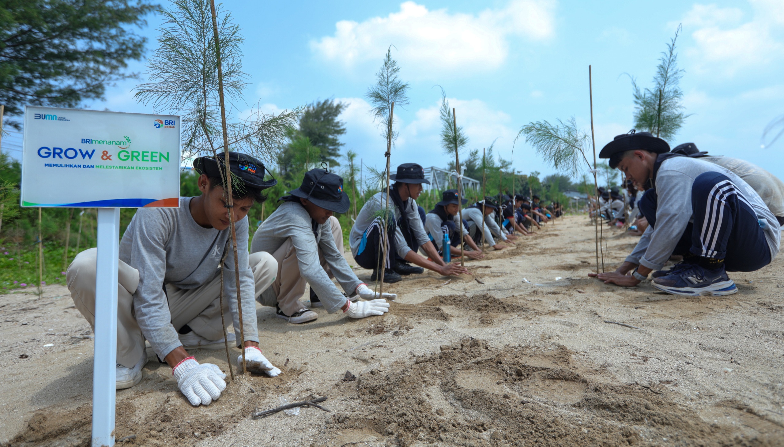 Peringati Hari Lingkungan Hidup Sedunia, BRI Pertegas Komitmen ESG Lewat Program BRI Menanam – Grow & Green