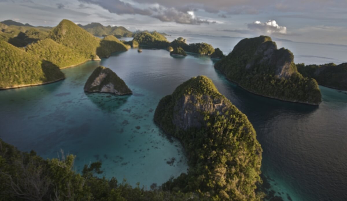 Raja Ampat: Keindahan Menakjubkan Bawah Laut Indonesia