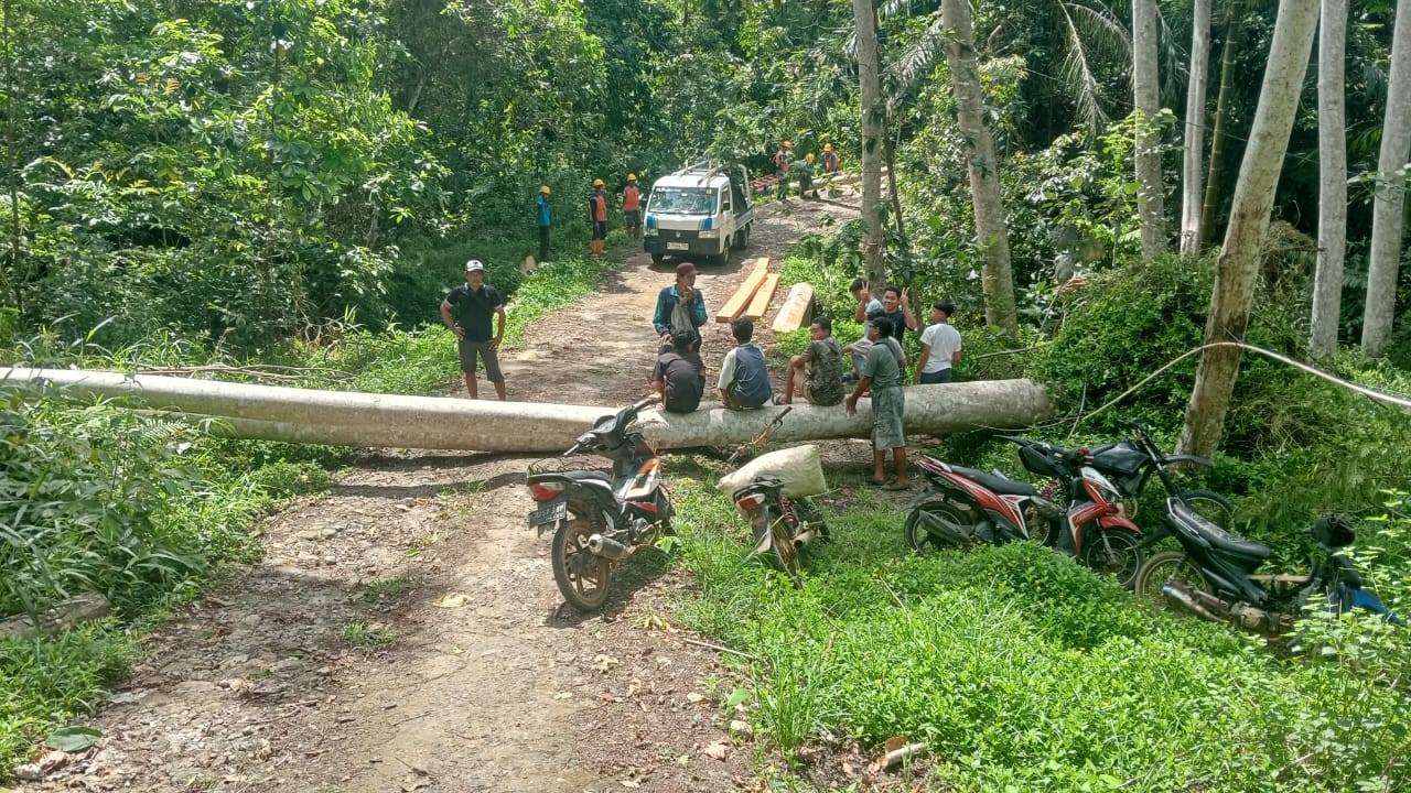 Tragis! Angin Kencang Tumbangkan Pohon, Dua Petugas PLN Alami Kecelakaan Kerja di Pesisir Utara