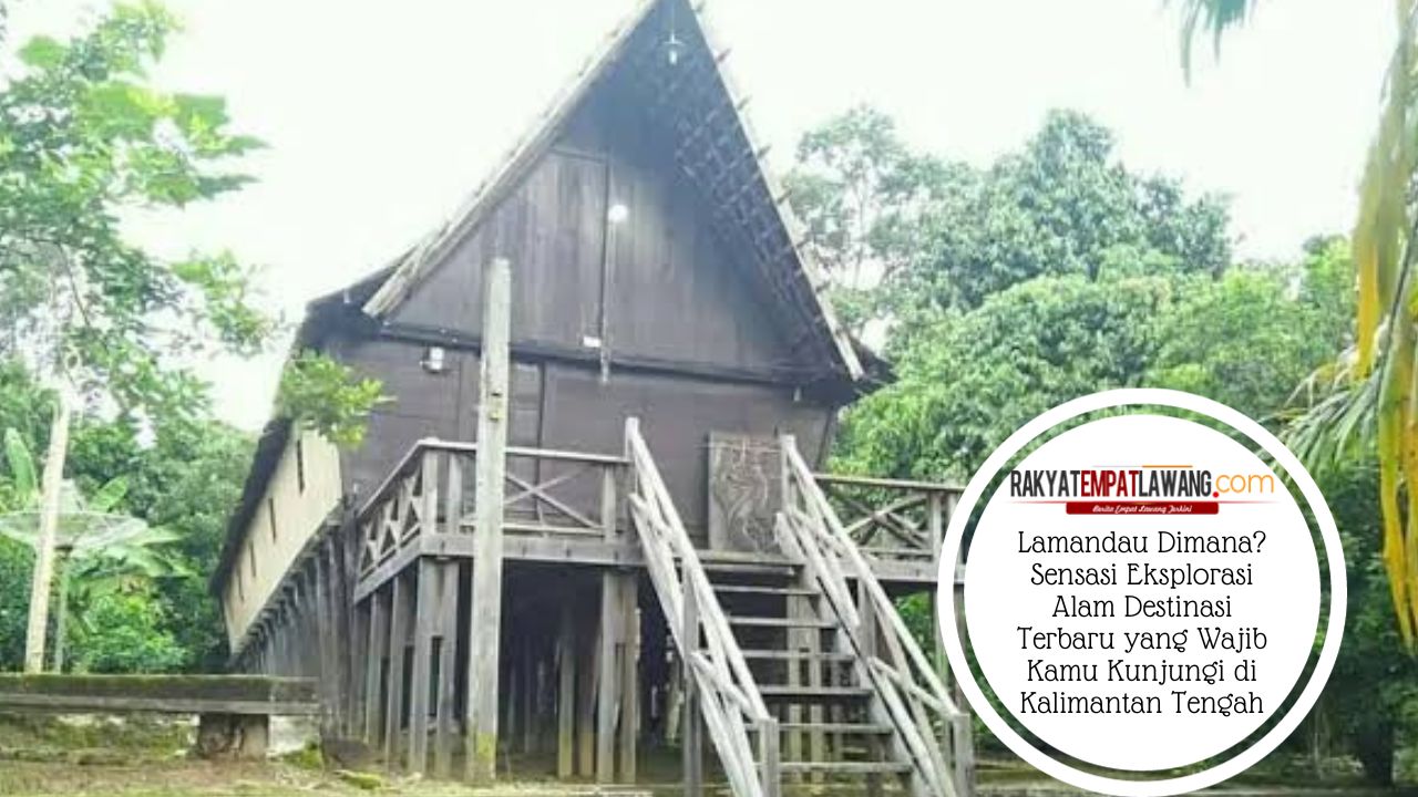 Lamandau Dimana? Sensasi Eksplorasi Alam Destinasi Terbaru yang Wajib Kamu Kunjungi di Kalimantan Tengah