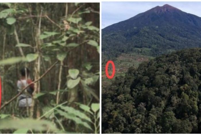 Dunia Misteri: Dika, Sang Pendaki yang Bertemu Putri dari Kerajaan Bunian di Jawa Barat