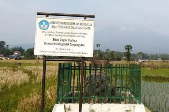 Misteri Situs Megalitik Arca Manusia Dililit Ular di Desa Tanjung Aro, Pagar Alam Utara