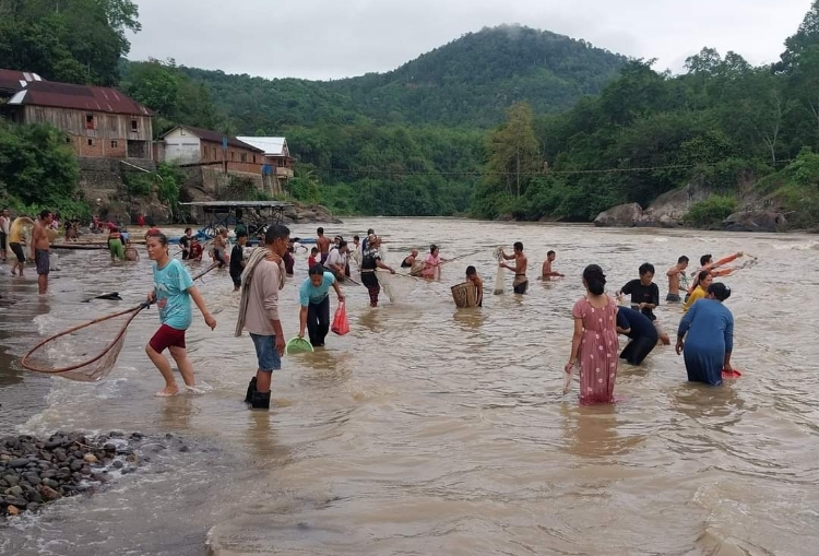 Warga Empat Lawang Berbondong-Bondong Menangkap Ikan Mabuk di Sungai Musi Ketubean 