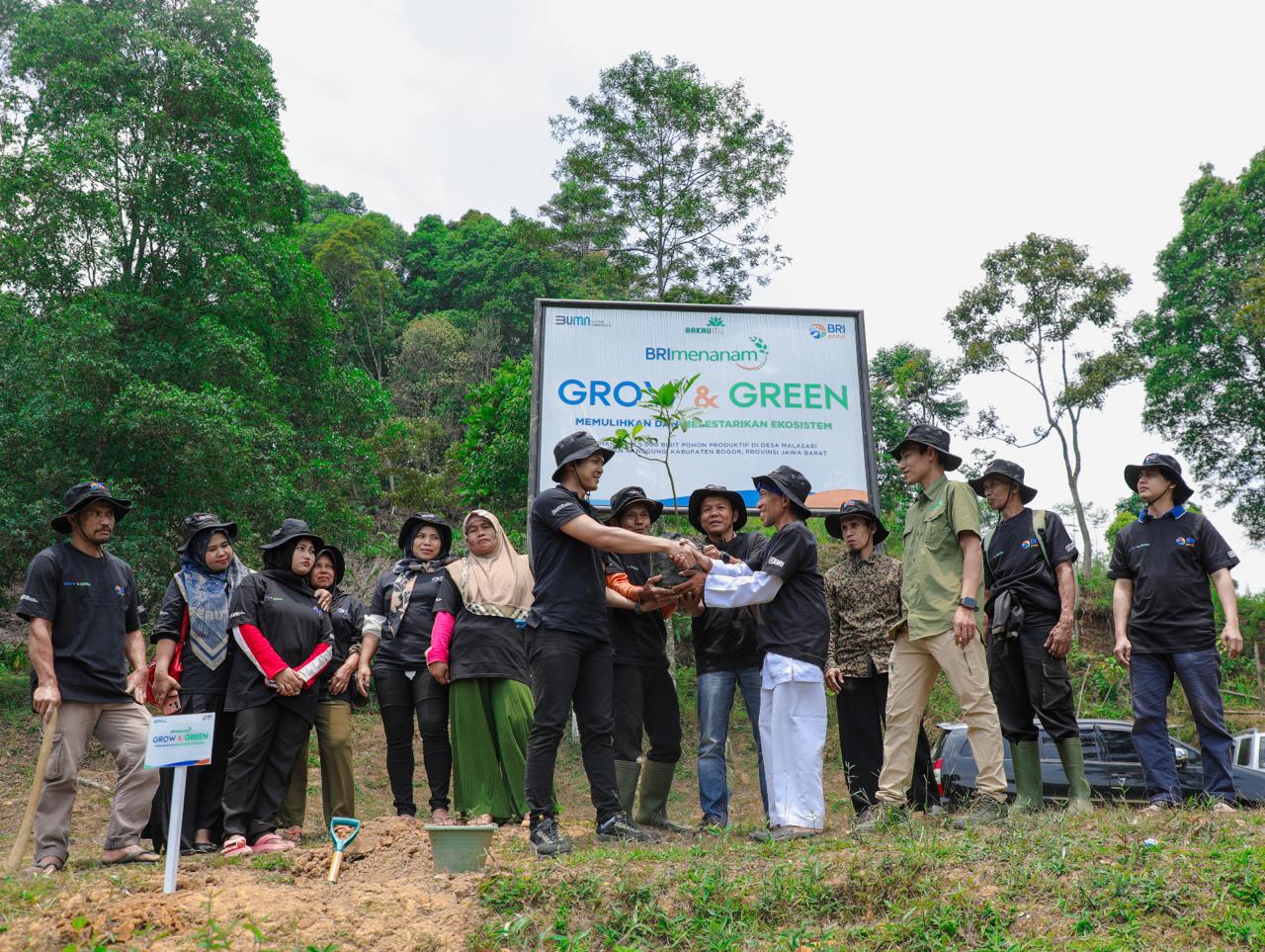 Pulihkan Hutan Bekas Tambang, Kelompok Tani Bersama BRI Wujudkan Lingkungan Lestari