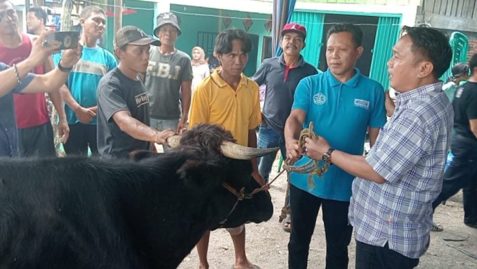 Dukungan Mengalir, 5 Ekor Sapi Disumbangkan Masyarakat untuk Buka Puasa Bersama JM-FAI 