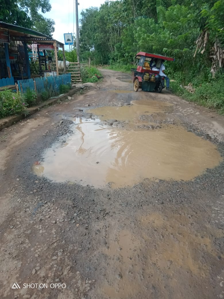 Kerusakan Jalan di Desa Tanjung Kupang Baru, 2023 Belum ada Penanganan 