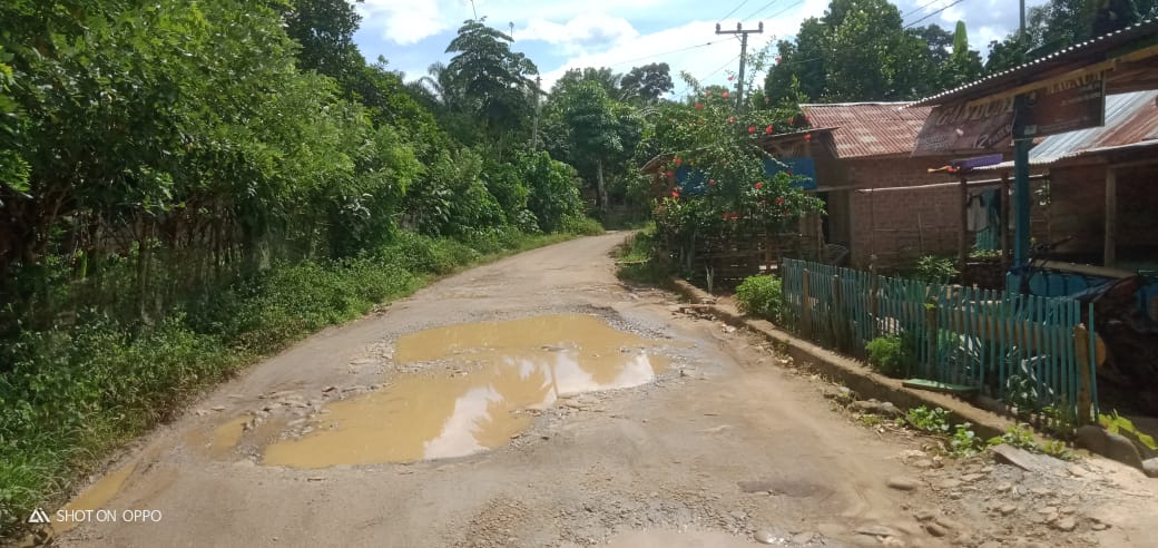 Jalan di Desa Ini Banyak Genangan Air Sampai Pengendara Kecipratan Air Hingga ke Muka