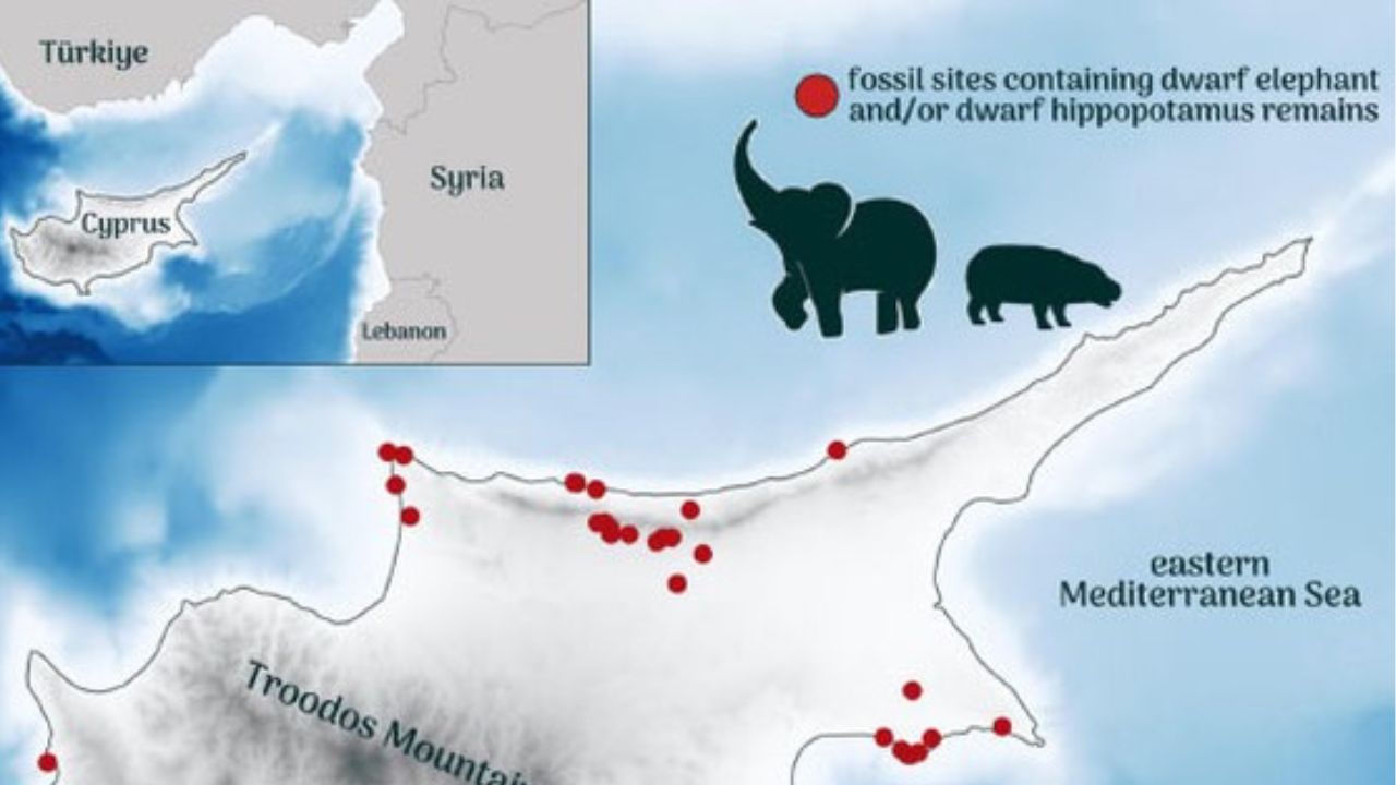 Kepunahan Kuda Nil Kerdil dan Gajah Kerdil di Siprus: Akibat Ulah Manusia Paleolitik?