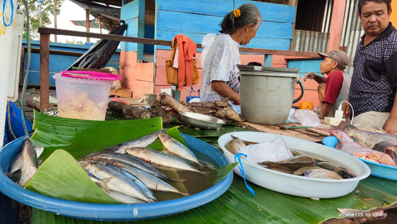 Sedikitnya Pasokan Ikan Berimbas Naiknya Harga di Pasar Tebing Tinggi