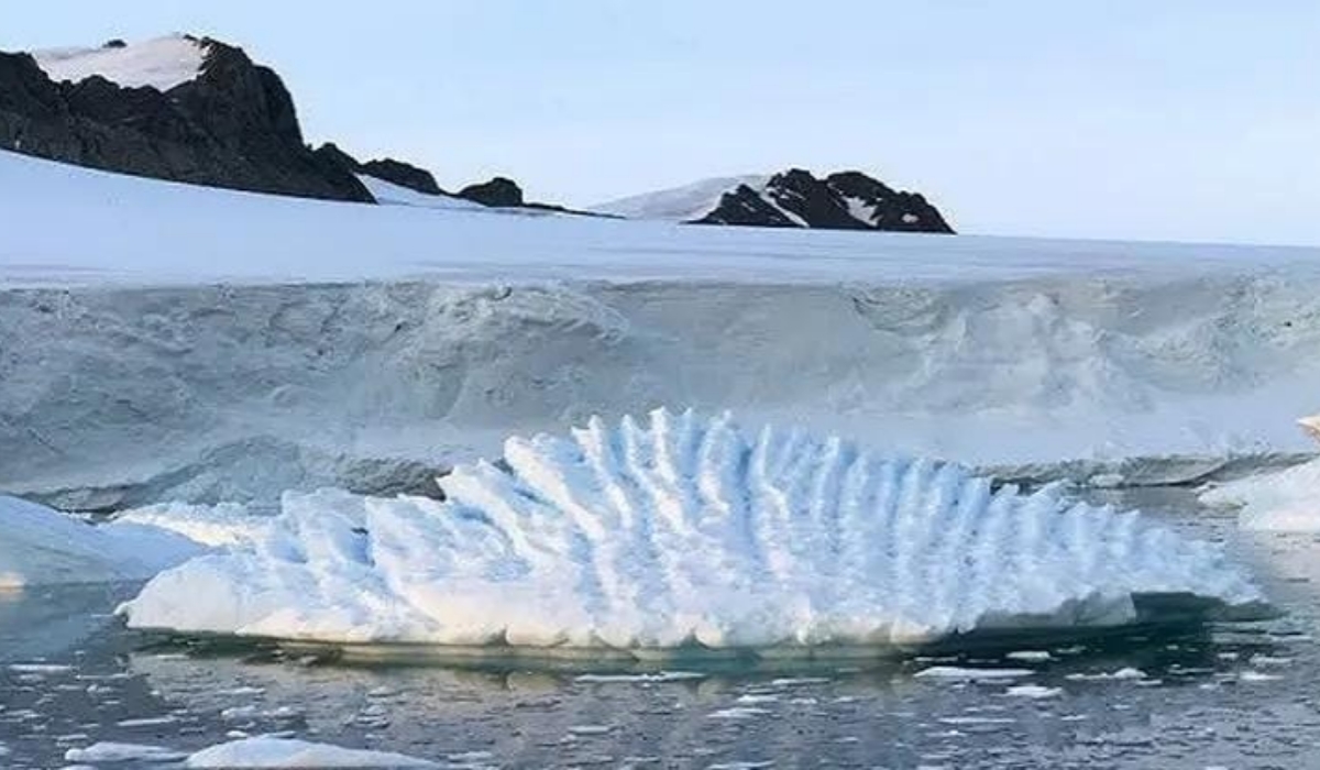 Pencairan Es Lebih Cepat di Greenland dan Lebih Lambat di Antartika, Mengapa?