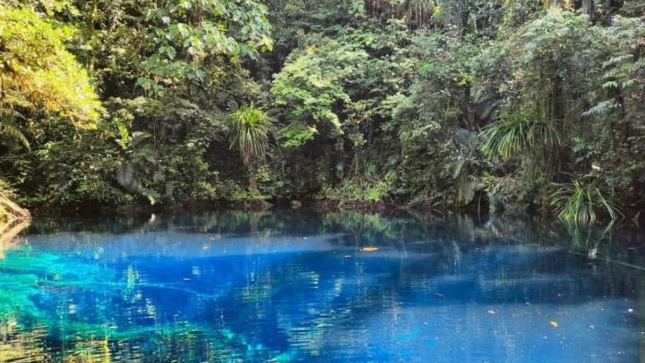 Menelusuri Keindahan Telaga Biru Samares di Tengah Hutan Papua