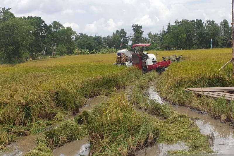 Korem 044/Gapo dan Dinas Pertanian Sumsel Siapkan Cetak Sawah untuk Ketahanan Pangan 2025