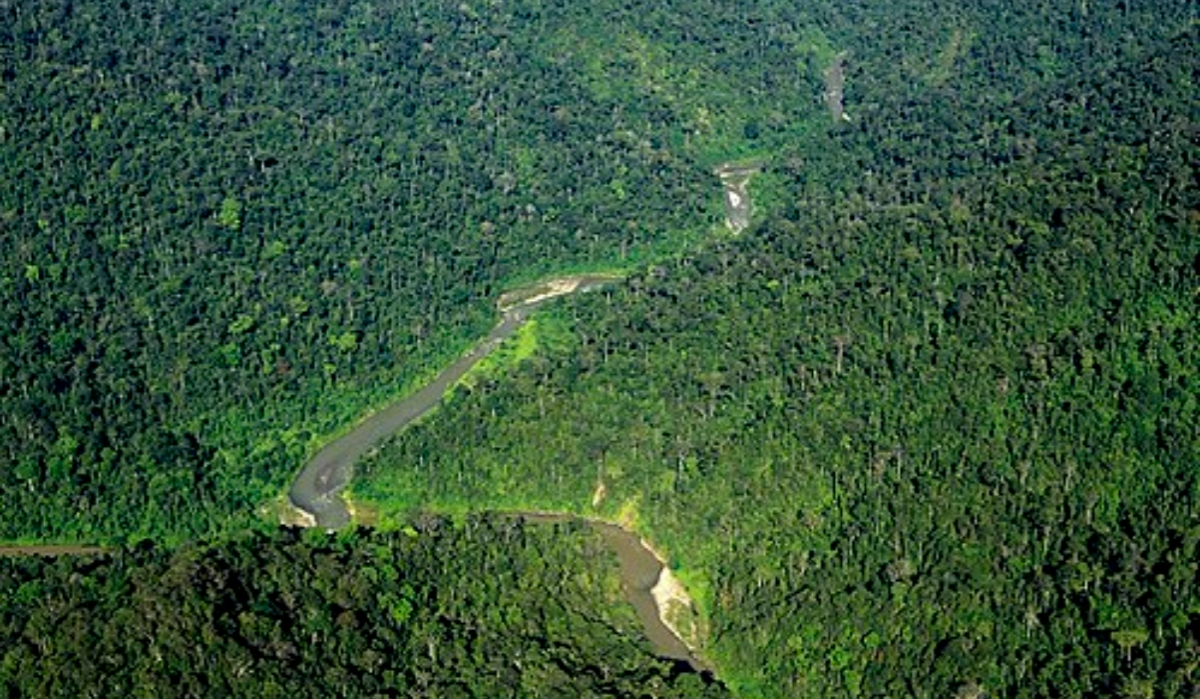 Taman Nasional Gunung Leuser: Surga Keanekaragaman Alam Sumatera