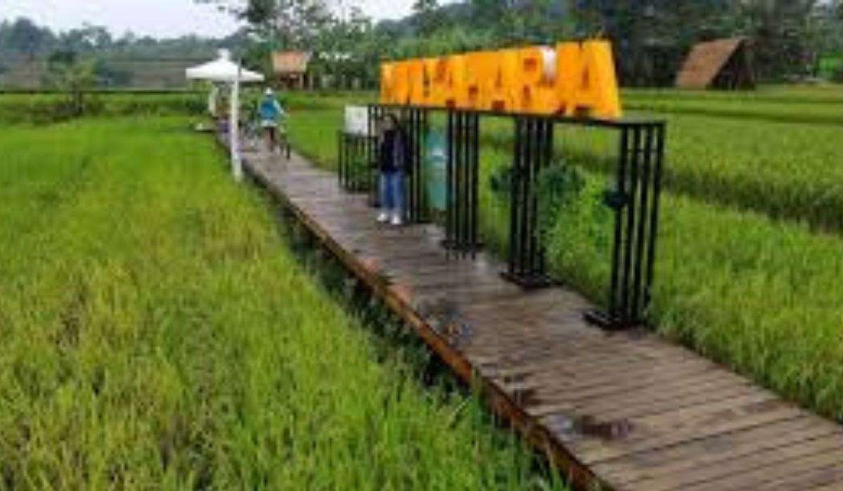 Agrowisata Organik Muliaharja: Destinasi Wisata Edukatif dan Seru di Bogor Selatan