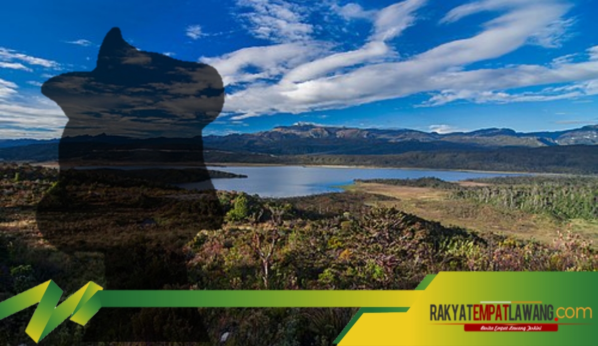 Keindahan Alam dan Legenda Misterius: Pesona Danau Habema di Papua