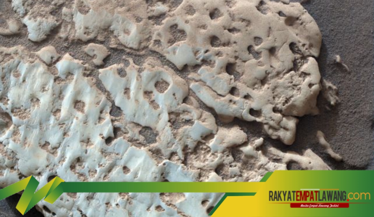 Mengejutkan! NASA Temukan Batuan Kristal Kuning Langka di Mars