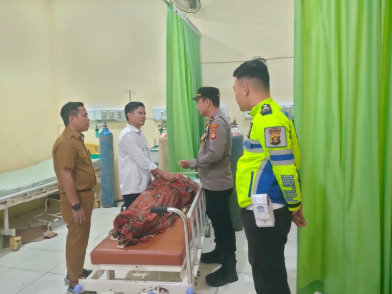 Sosok Wahyuni Puspita Sari, PNS Musi Rawas Tewas Setelah Tabrak Kerbau di Jalinsum