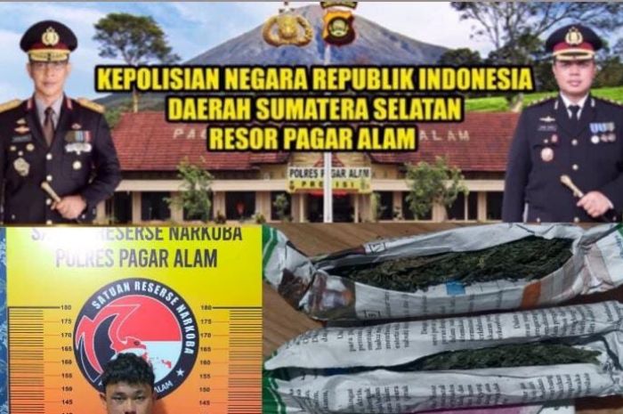 Jadi Bandar Daun Setan, BSP Mendekam di Jeruji Besi