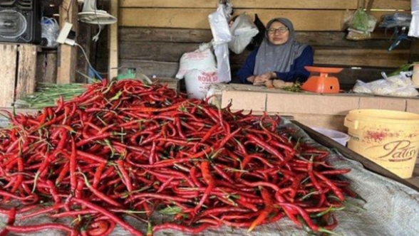 Harga Cabai Naik Jelang Akhir Tahun 2024 di Pasar Pulau Emas Tebing Tinggi