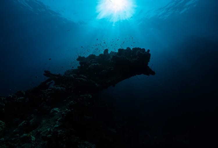 Ocean Deep Blue Water, Rahasia Kesehatan di Balik Air Laut Dalam