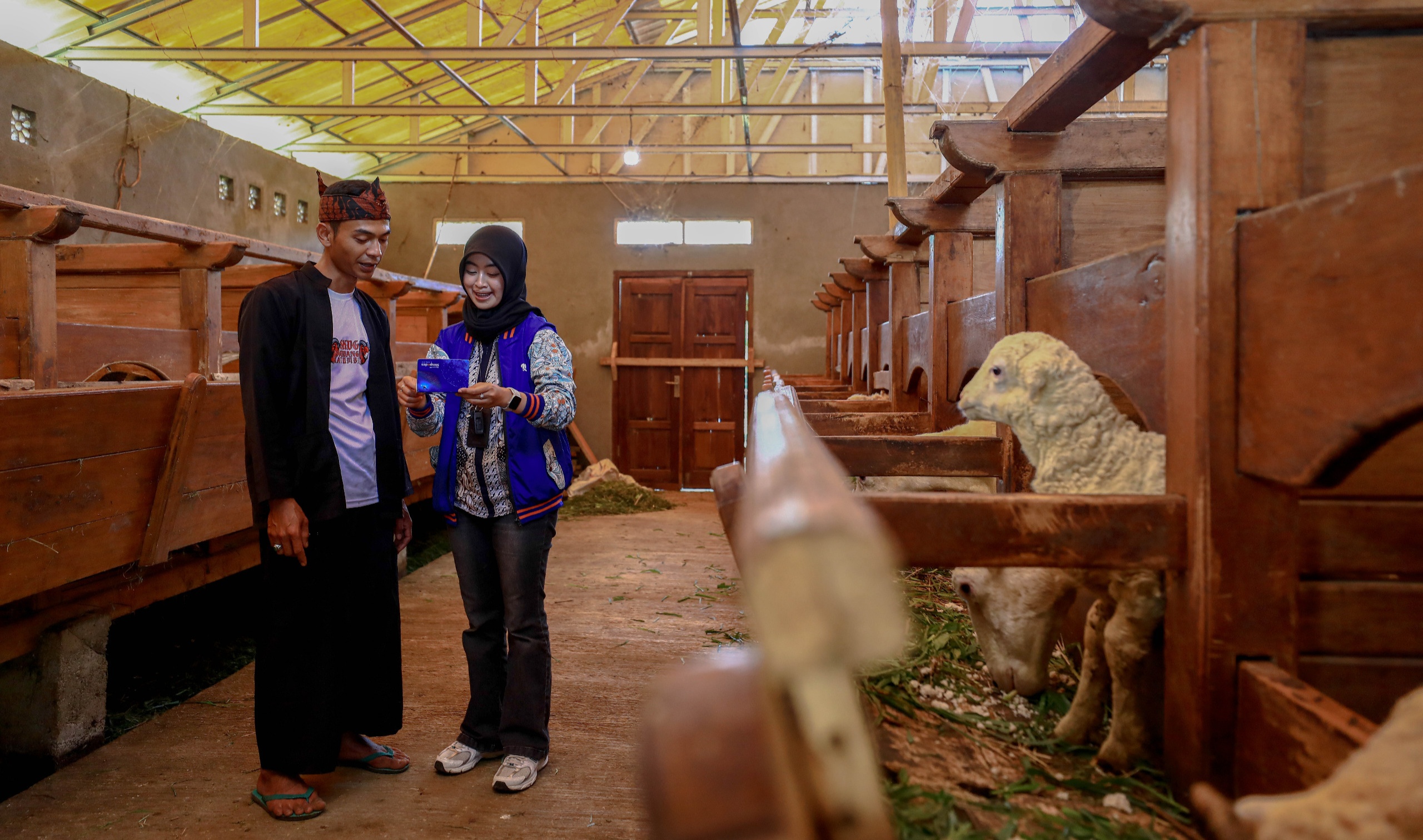 Idul Adha Jadi Momentum, BRI Peduli Tingkatkan Produktivitas Peternak Domba di Desa BRILiaN Sukalaksana Garut