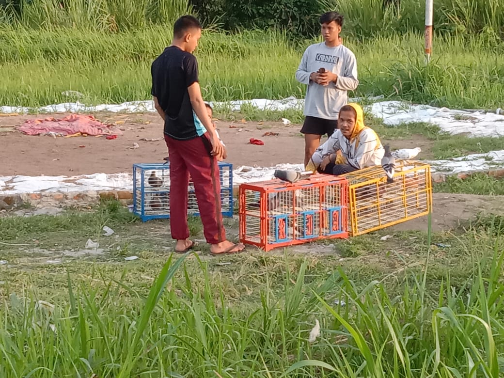 Kiki dan Yansyah Asik Bermain Burung di Pulau Emas, Ngakunya Bisa Hilangkan Kejenuhan