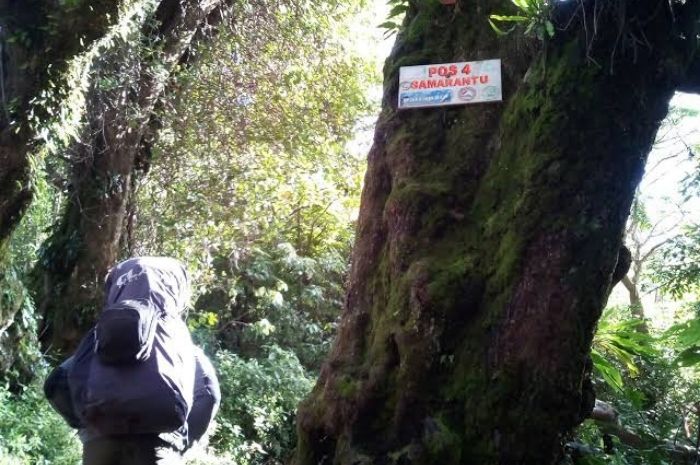 Keajaiban di Pintu Dunia Lain: Eksplorasi Gunung Selamet di Pos Samarantu
