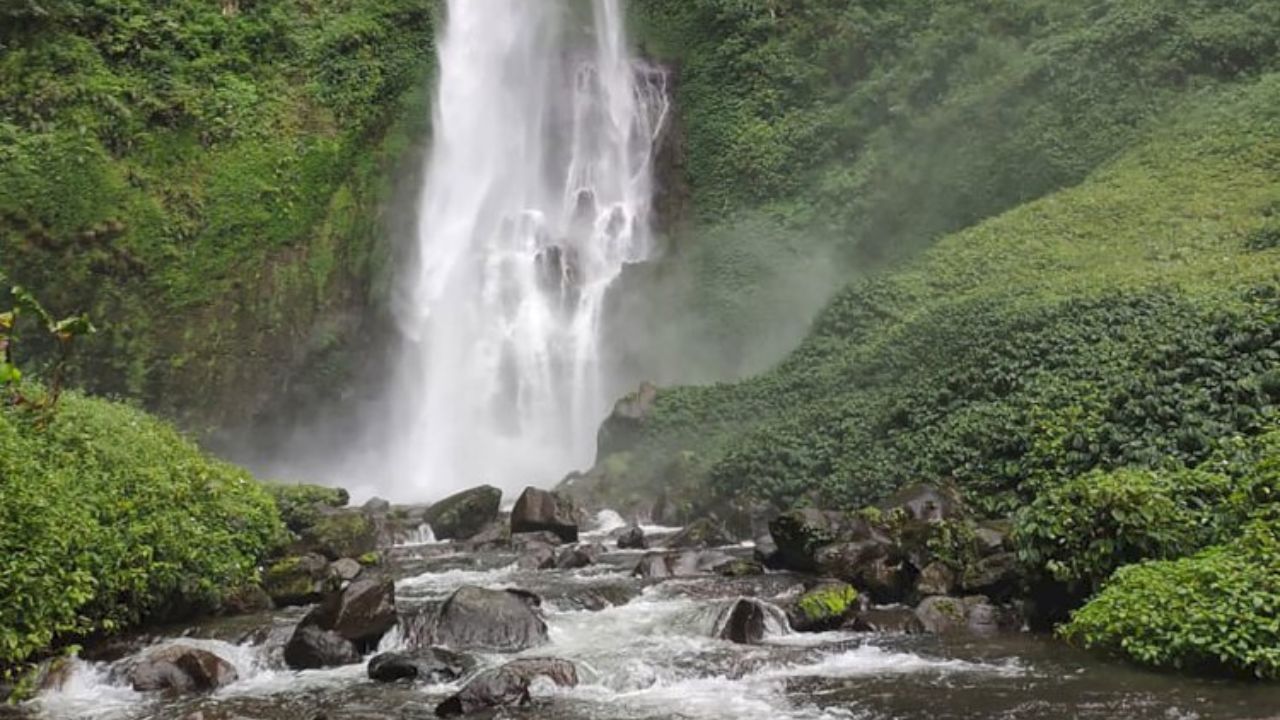 Air Terjun Bungo: Keindahan Tersembunyi di Desa Babatan, Empat Lawang