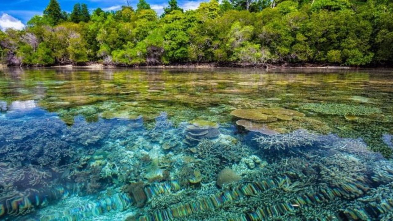 Exploring Hidden Gems: Kepulauan Widi - Maldives Baru Indonesia