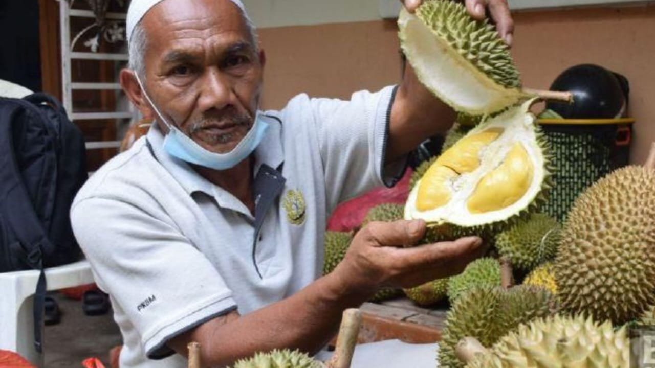 3 Daerah Penghasil Durian Terbesar di Sumatera Selatan: Ogan Komering Ulu Raih Posisi Juaranya