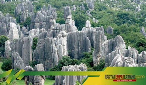 Keajaiban Alam di Hutan Batu Tsingy, Labirin Batu yang Mengagumkan